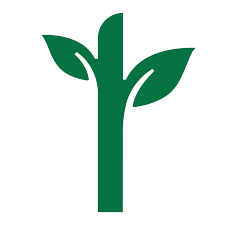 Team Page: Domtar